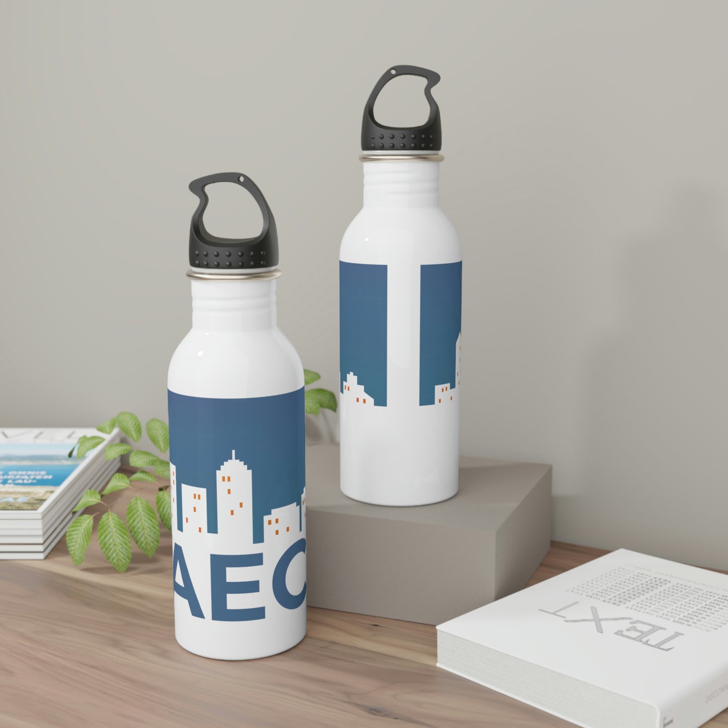 Stainless Steel Skyline Water Bottle